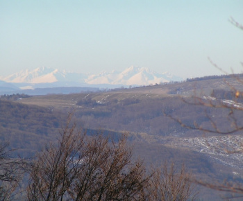 Príroda