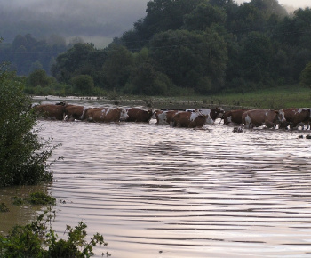 Povodeň 2005
